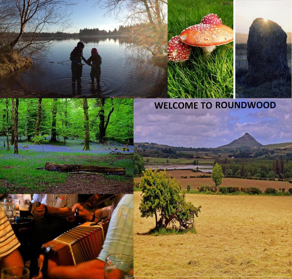 Glendalough Scenery Farmhouse Roundwood Extérieur photo