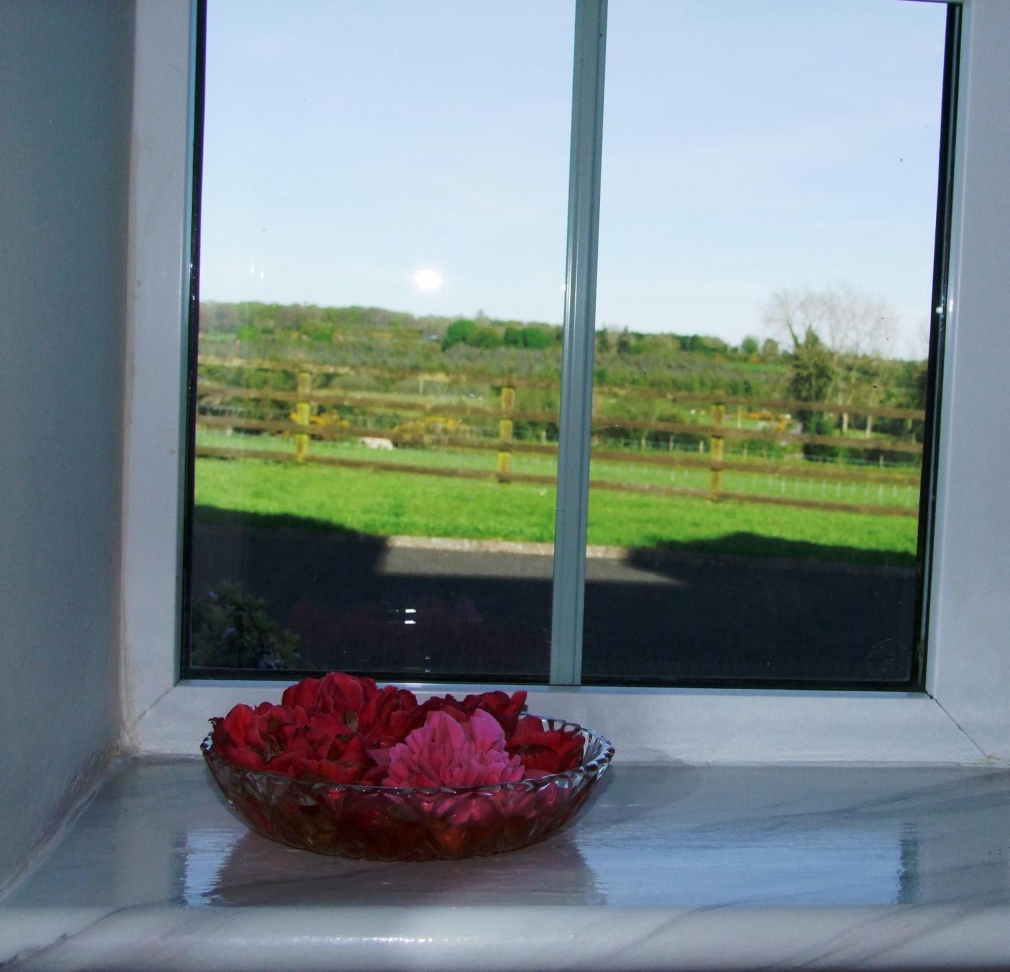 Glendalough Scenery Farmhouse Roundwood Extérieur photo